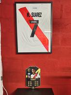 Match issued/prepared shirt - Matias Suarez/River Plate, Verzamelen, Shirt, Zo goed als nieuw, Ophalen