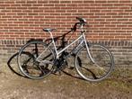 Damesfiets, 47 tot 50 cm, Ophalen, Versnellingen