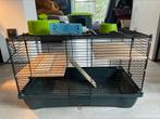 Petite cage pour rongeurs, Hamster, Utilisé, Cage, Enlèvement ou Envoi