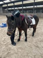 Lieve kinderpony zoekt laatste huisje, Dieren en Toebehoren, Merrie, B, Minder dan 160 cm, 11 jaar of ouder