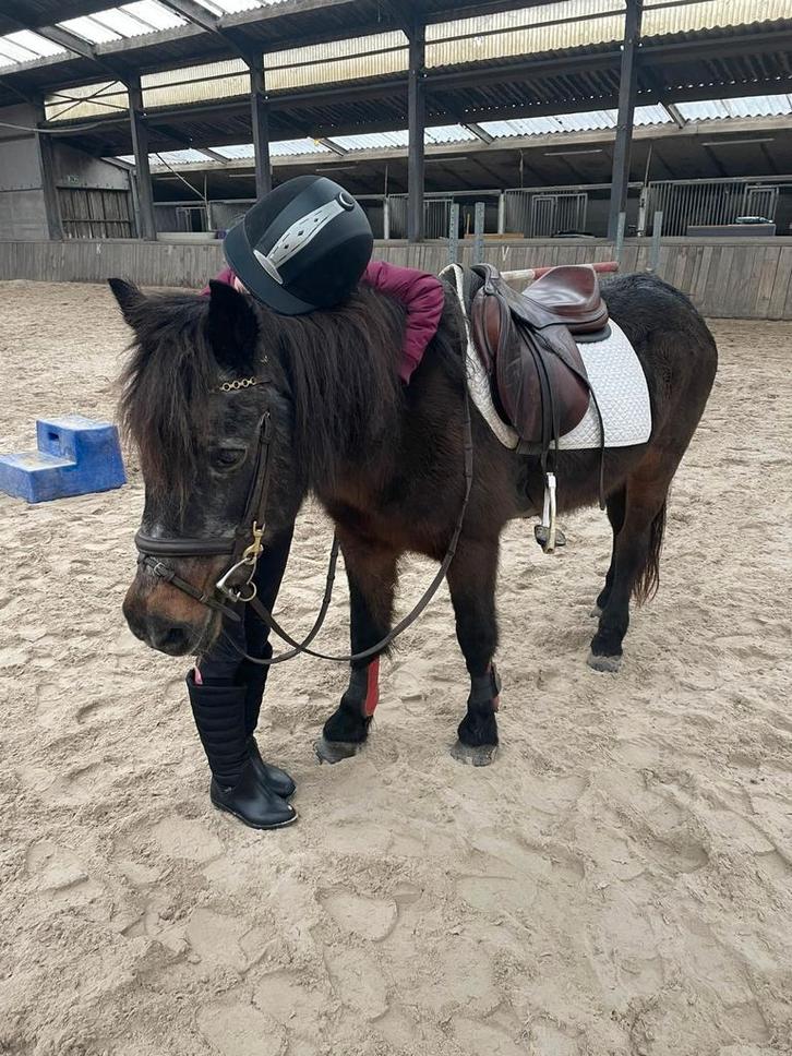 Lieve kinderpony zoekt laatste huisje, Dieren en Toebehoren, Paarden, Merrie, B, Minder dan 160 cm, 11 jaar of ouder