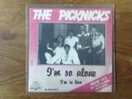single the picknicks, Cd's en Dvd's, Ophalen of Verzenden, 7 inch, Pop, Single