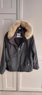 Tommy hilfiger xl, Ophalen of Verzenden, Zo goed als nieuw