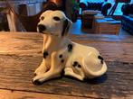 Beeld Dalmatiër hond (stenen beeldje), Ophalen of Verzenden