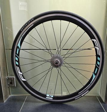 roue arrière carbone ffwd powertap bianchi f4r campa 11 ant+ disponible aux enchères