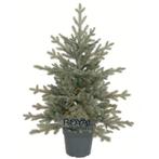 Sapin de Noël artificiel Royal Christmas en POT Ohio, Enlèvement ou Envoi, Comme neuf