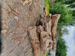 Grande quantité de bois sec, Ophalen