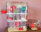Cage pour Hamster ,Zolux 'RODY 3'' Trio +Cage Mini 60 euros, Animaux & Accessoires, Comme neuf, Enlèvement, Cage hamster