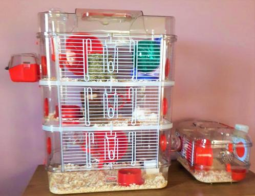 Cage pour Hamster ,Zolux 'RODY 3'' Trio +Cage Mini 60 euros, Animaux & Accessoires, Autres accessoires pour animaux, Comme neuf