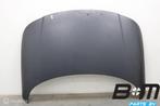 Motorkap Audi TT 8N LY9B 8N0823029A, Gebruikt