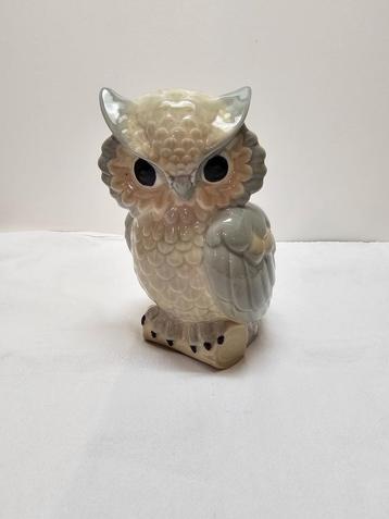 Spaanse uil beschikbaar voor biedingen