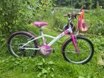 20 inch meisjesfiets, Fietsen en Brommers, Ophalen, Staal, Zo goed als nieuw, Dames