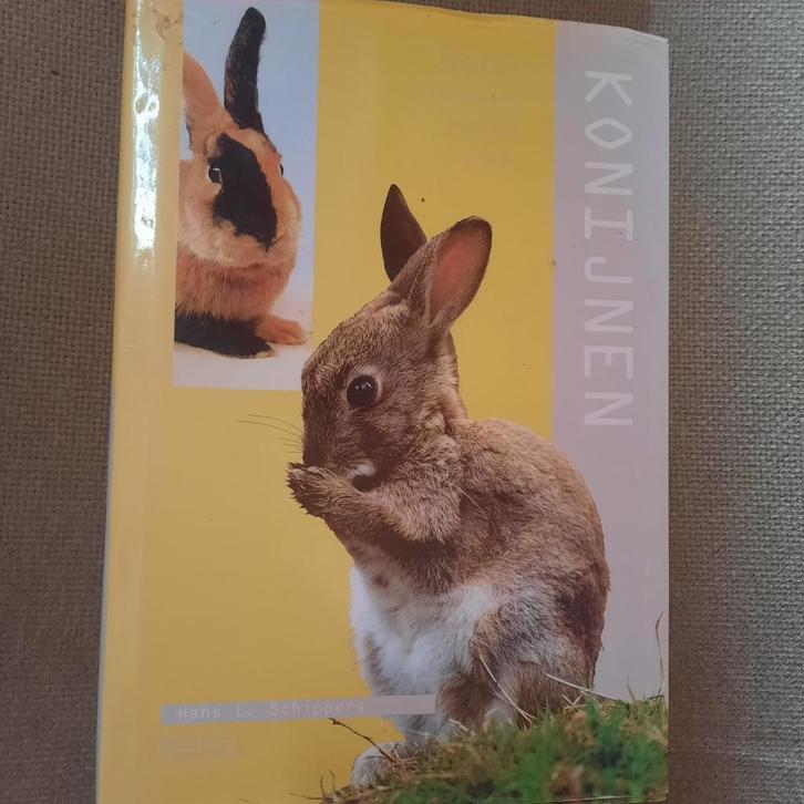 KONIJNEN - HANS K. SCHIPPERS , Livres, Animaux & Animaux domestiques, Lapins ou Rongeurs, Enlèvement ou Envoi