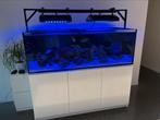 zeewater aquarium te koop, Dieren en Toebehoren, Vissen | Aquaria en Toebehoren, Ophalen, Zo goed als nieuw, Leeg aquarium