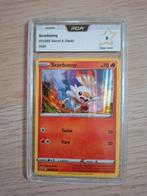 Scorbunny pca graded, Hobby en Vrije tijd, Verzamelkaartspellen | Pokémon, Ophalen