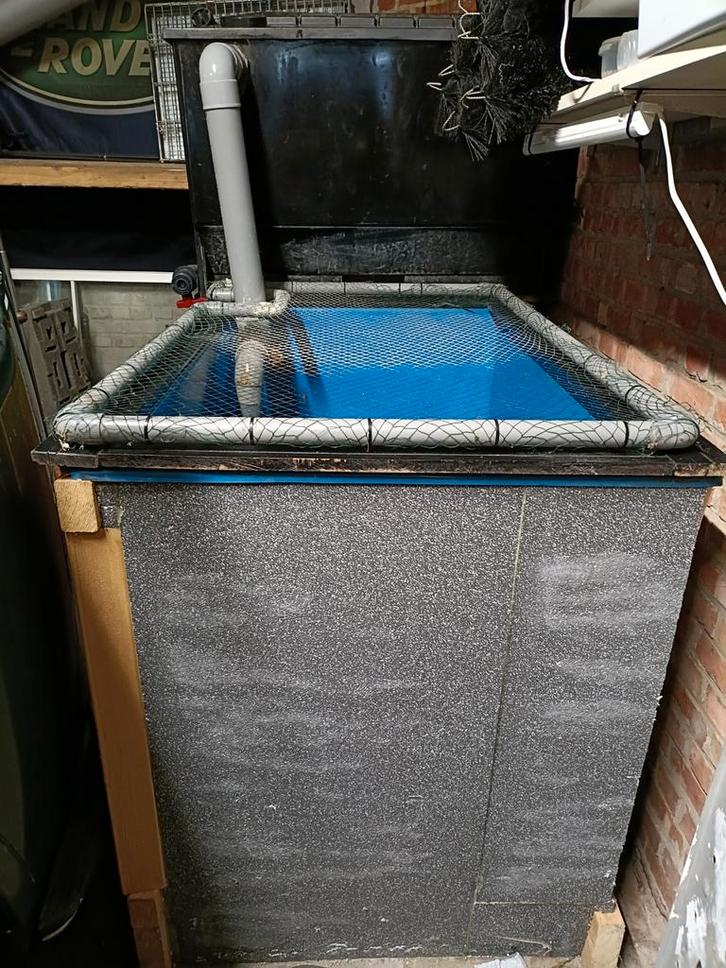 Quarantaine bak voor vissen, Jardin & Terrasse, Accessoires pour étangs, Comme neuf, Enlèvement