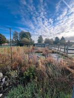 Jardinier paysagiste, Enlèvement ou Envoi