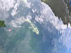 Japanse koi voor grote vijver, Karper of Koi