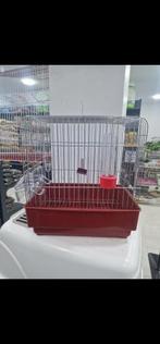 Vogelkooi, Dieren en Toebehoren, Ophalen of Verzenden, Zo goed als nieuw