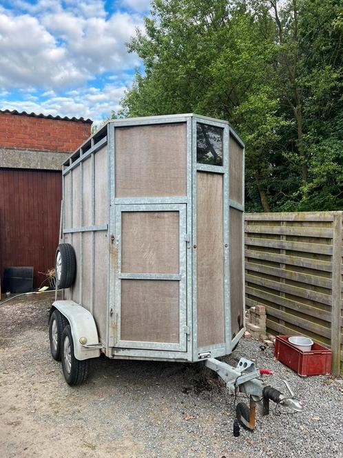 Paardentrailer / veewagen, Dieren en Toebehoren, Paarden en Pony's | Trailers en Aanhangwagens, 2-paards trailer, Hout, Ophalen