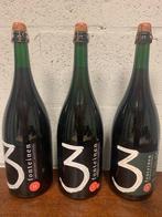 Verlaagde Prijs - Drie Fonteinen - 3 magnums 2019, Verzamelen, Ophalen