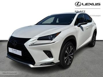 Lexus NX 300H Business Line Plus + Carplay  beschikbaar voor biedingen