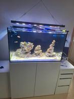 Aquatlantis 250L complet, Comme neuf, Enlèvement