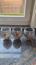 Bloempotjes in cement, Enlèvement