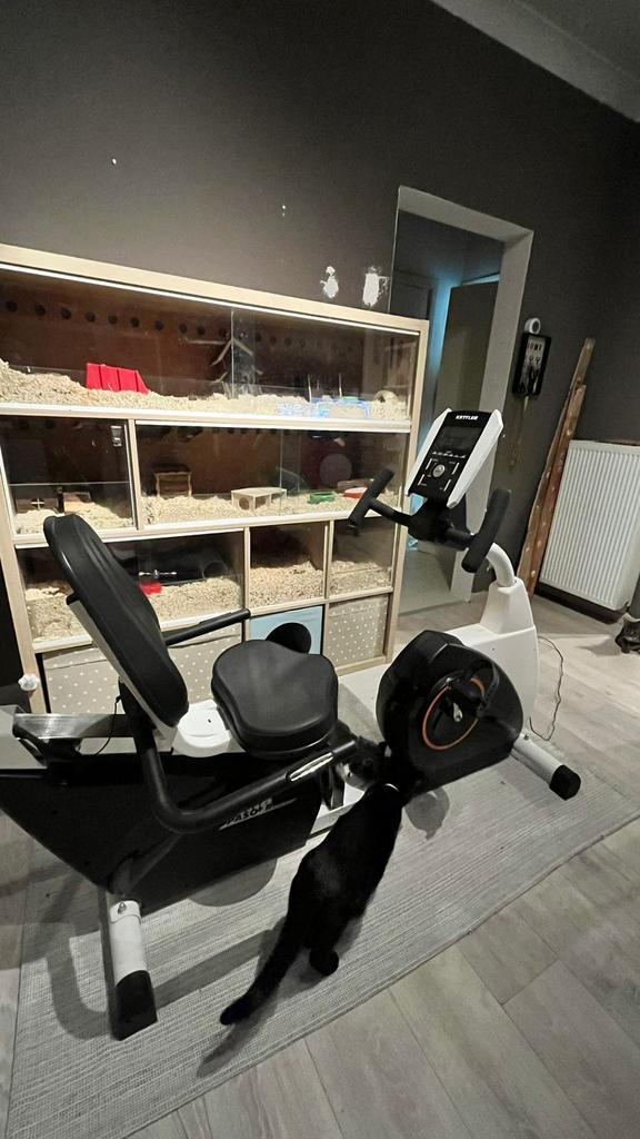 Kettle fiets, Sport en Fitness, Fitnessmaterialen, Zo goed als nieuw, Rug, Ophalen