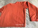 Sweat terracotta T44/46 en bon état, Vêtements | Femmes, Pulls & Gilets, Enlèvement ou Envoi, Porté, Taille 42/44 (L)