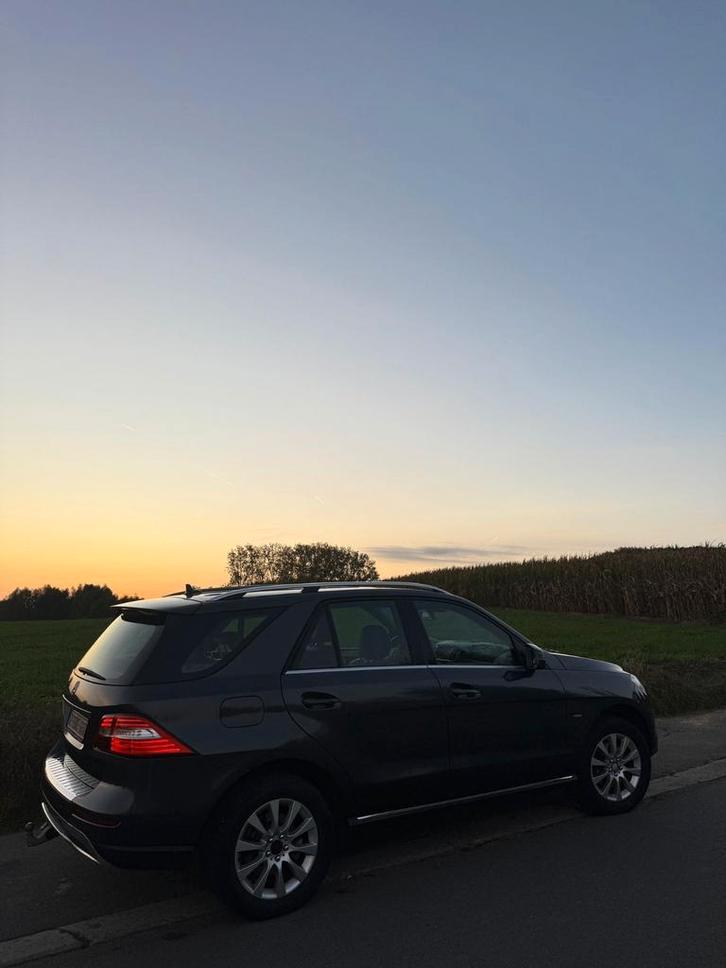MERCEDES-BENZ ML 250CDI 4MATIC EURO6 VOLLEDIGE OPTIES, Auto's, Mercedes-Benz, Bedrijf, M-Klasse, 4x4, ABS, Achteruitrijcamera