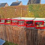 6 x 1/18 BBR Ferrari Models, Ophalen of Verzenden, Nieuw, Auto, Overige merken