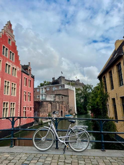 Batavus Mambo LX - stevig én karaktervol, Fietsen en Brommers, Fietsen | Dames | Damesfietsen, Gebruikt, Batavus, Versnellingen