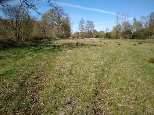 Paardenweide te huur, Tessenderlo, Dieren en Toebehoren, Stalling en Weidegang