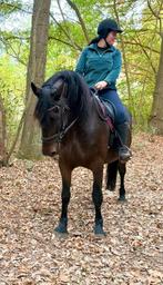 Brave kruising fries, Dieren en Toebehoren, Paarden, Merrie