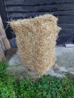 Kleine pakjes hooi, Dieren en Toebehoren, Dierenvoeding, Ophalen