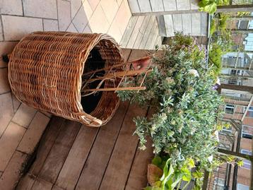 Rotan mand groot met plastiek pot op rolplateau beschikbaar voor biedingen