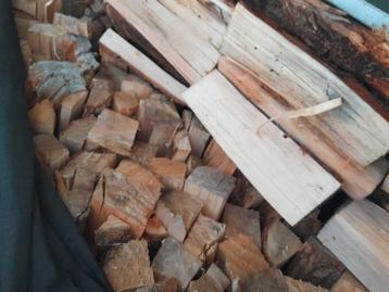 Stookklaar hard hout eik en beuk 150 de kub beschikbaar voor biedingen