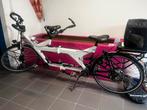 Koga electrische tandem te koop, Ophalen, Zo goed als nieuw