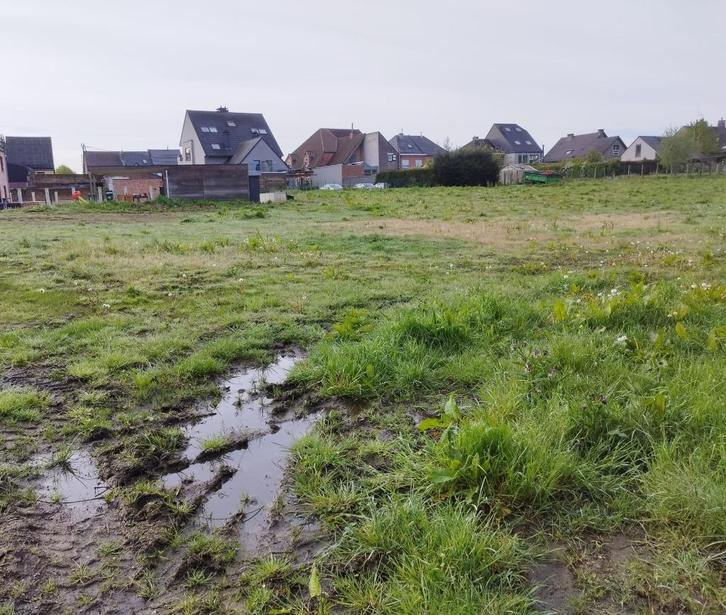 Weide te huur in 9473 - Welle => 43 are - 4300 m², Dieren en Toebehoren, Stalling en Weidegang, Weidegang, 1 paard of pony