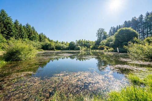 Terrain à vendre à Paliseul, Immo, Terrains & Terrains à bâtir, 1500 m² ou plus