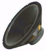 Disco speaker 12 Inch 30 cm 300 Watt [3377-BO], Ophalen of Verzenden, Nieuw, Overige typen