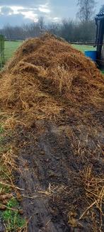 Gratis  paardenmest, Tuin en Terras, Aarde en Mest, Ophalen