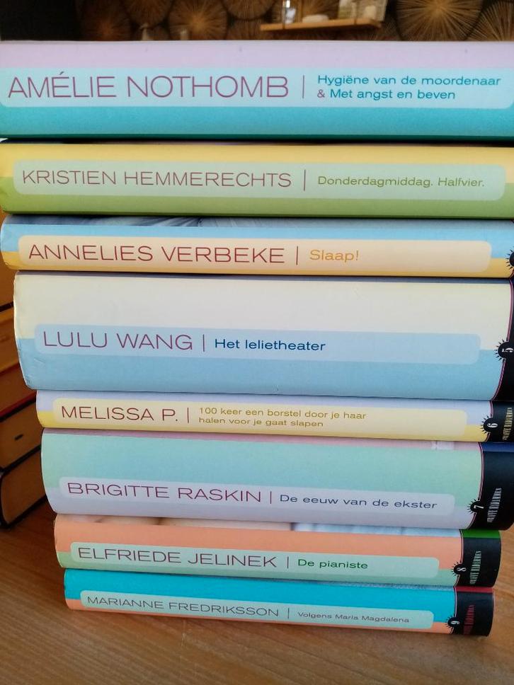 Uit de reeks 'Straffe Madammen' - NL-talige romans, Livres, Romans, Comme neuf, Enlèvement ou Envoi