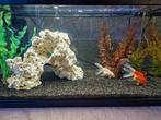Aquarium met toebehoren en filter, Dieren en Toebehoren