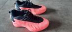 Adidas basketschoenen Anthony Edwards Maat 37.5, 40 euro, Sport en Fitness, Basketbal, Ophalen of Verzenden, Gebruikt, Schoenen