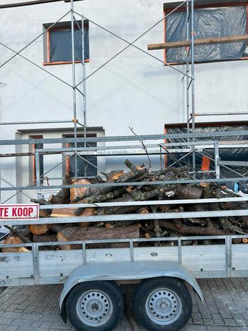 Kersenbrandhout te koop! Vandaag voor €150 beschikbaar voor biedingen