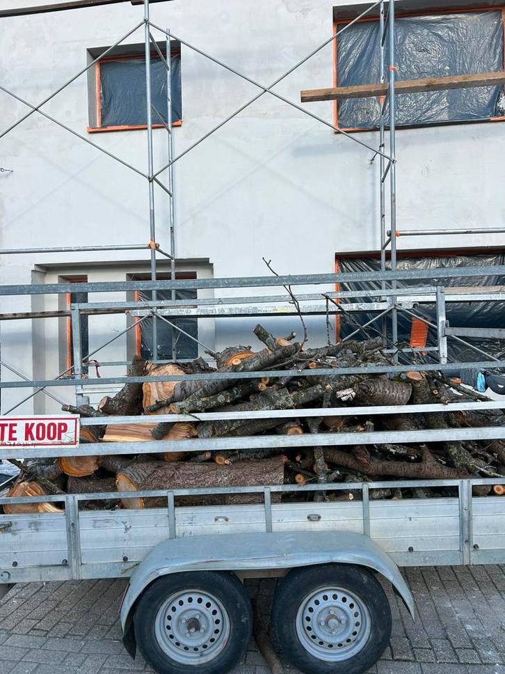 Du bois de chauffage en cerisier à vendre !, Bricolage & Construction, Échafaudages, Comme neuf, Enlèvement