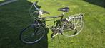 herenfiets, Ophalen, Giant
