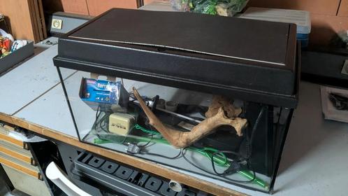 Aquarium 60x30x30 + filter + lamp + planten + zand + extras, Dieren en Toebehoren, Vissen | Aquaria en Toebehoren, Zo goed als nieuw